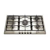 CGA90-WOK-F