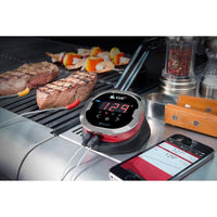 iGrill 2 (7203)
