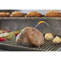 iGrill 3 (7204)