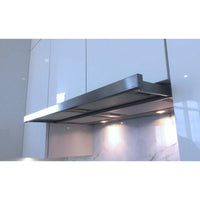 CRIS30SS300