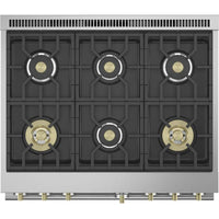 ZGP366NTSS