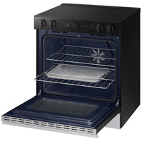 Samsung-Stainless NSE6DG8700SRAC