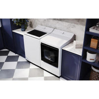 DLE8200W