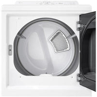 DLE8200W