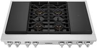 Signature Kitchen Suite-Stainless Steel-Dual Fuel SKSRT480SIS