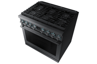 Samsung-Black Stainless-Dual Fuel NY36R9966PM/AA