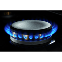 JennAir-Stainless Steel-Gas JGRP536HL