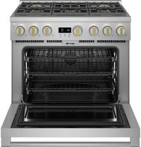 Monogram-Stainless Steel-Dual Fuel ZDP366NTSS