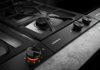 Gaggenau-Stainless Steel-Gas VG232220CA