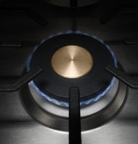Monogram-Stainless Steel-Gas ZGU36ESLSS
