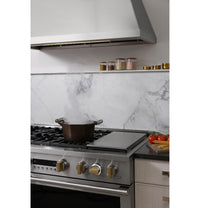 Monogram-Stainless Steel-Gas ZGP486NDTSS