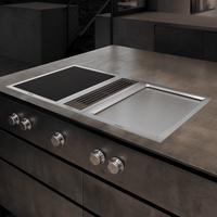 Gaggenau-Stainless Steel-Electric VP414611