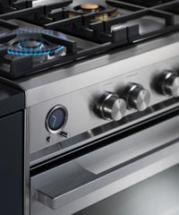 Fisher & Paykel-Stainless Steel-Dual Fuel OR36SDG6X1
