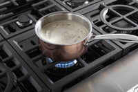 KitchenAid-Stainless Steel-Gas KCGC558JSS