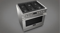 Fulgor Milano-Stainless Steel-Dual Fuel F4PDF366S1