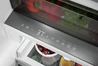 Frigidaire Professional-Stainless Steel-All Refrigerator FPRU19F8WF