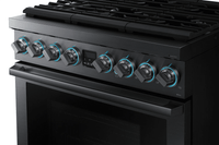Samsung-Black Stainless-Dual Fuel NY36R9966PM/AA