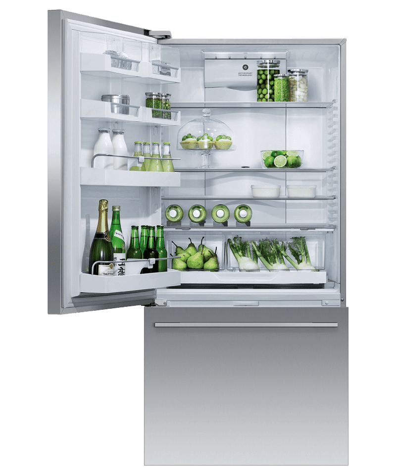 Fisher & Paykel-Stainless Steel-Bottom Freezer-RF170WDLUX5 RF170WDLUX5N