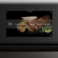 GE Profile-Stainless Steel-Single Oven PTS7000SNSS
