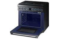 Samsung-Black Stainless-Dual Fuel NY36R9966PM/AA