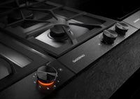 Gaggenau-Black-Electric VR230620