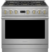 Monogram-Stainless Steel-Dual Fuel ZDP366NTSS
