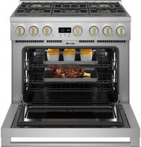 Monogram-Stainless Steel-Dual Fuel ZDP366NTSS