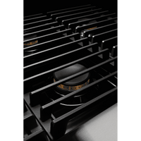 JennAir-Stainless Steel-Dual Fuel JDRP648HM