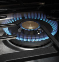 Monogram-Stainless Steel-Gas ZGU36ESLSS
