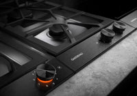 Gaggenau-Stainless Steel-Gas VG232220CA