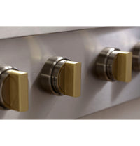 Monogram-Stainless Steel-Gas ZGU366NTSS