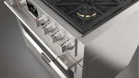 Fulgor Milano-Stainless Steel-Dual Fuel F6PDF366S1