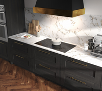 Signature Kitchen Suite-Black-Induction SKSIT3601GE