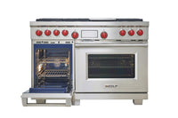Wolf-Stainless Steel-Dual Fuel DF486C