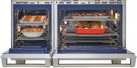 Wolf-Stainless Steel-Dual Fuel DF486C