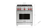 Wolf-Stainless Steel-Gas GR304