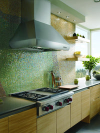 Wolf-Stainless Steel-Hood PWC362418