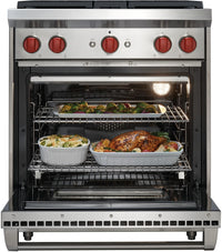Wolf-Stainless Steel-Gas GR304