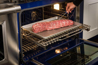 Wolf-Stainless Steel-Dual Fuel DF486C