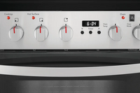 Frigidaire-Stainless Steel-Electric FCFE242CAS