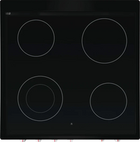 Frigidaire-Stainless Steel-Electric FCFE242CAS