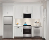 Frigidaire-Stainless Steel-Electric FCFE242CAS